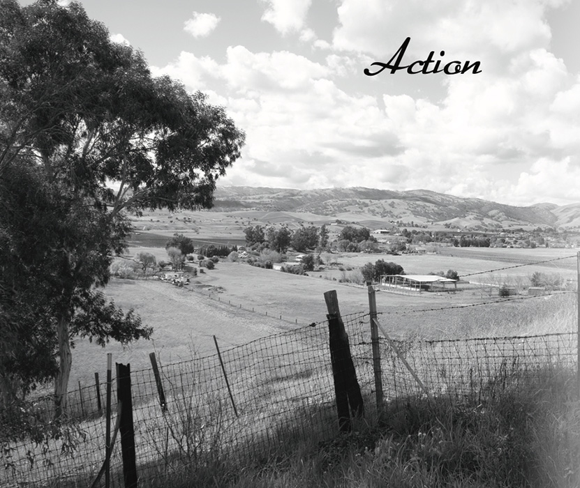 Book by Adam Galles